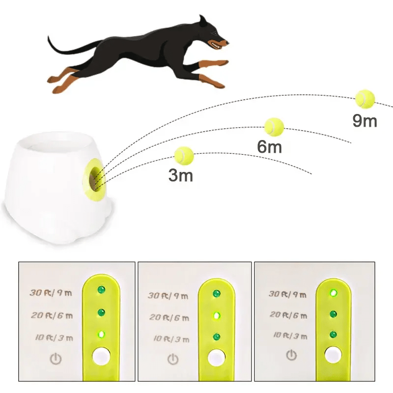 Smart Fetch Machine